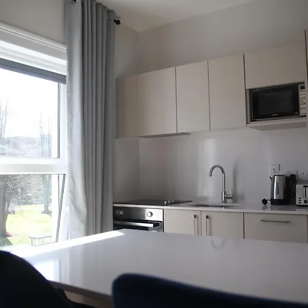 Crawford House- Scholarlee Living بيت ضيافة كورك